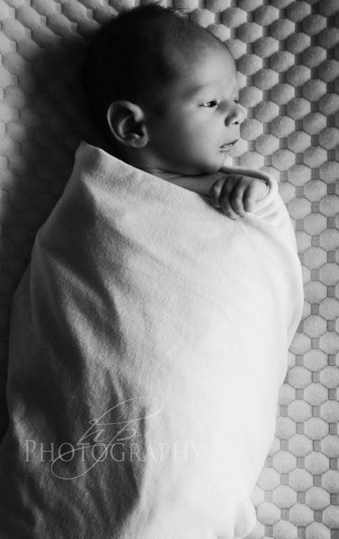 HPP_4582bw