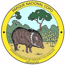 copo_logo copo_logo