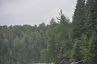 20120716_0035_N_Wabigoon.JPG Photo