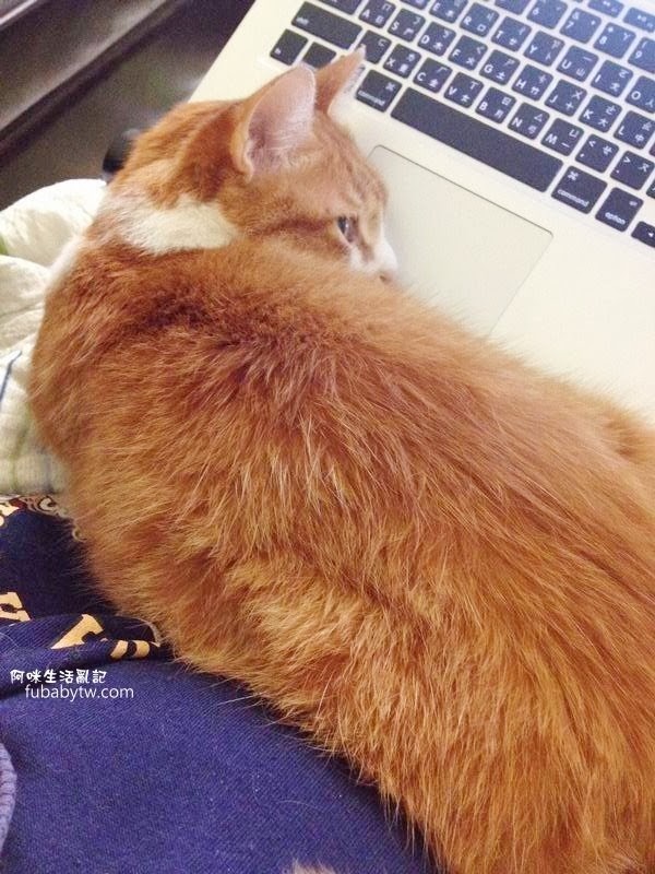 調整大小IMG_4541 調整大小IMG_4541