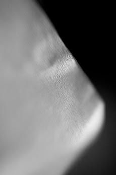 2013-05-20.jpg