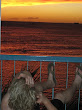 Tyler Durden Pickup Artist Big Island Trip