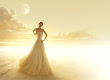 White Shining Fantasy