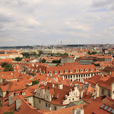 IMG_5626.JPG
