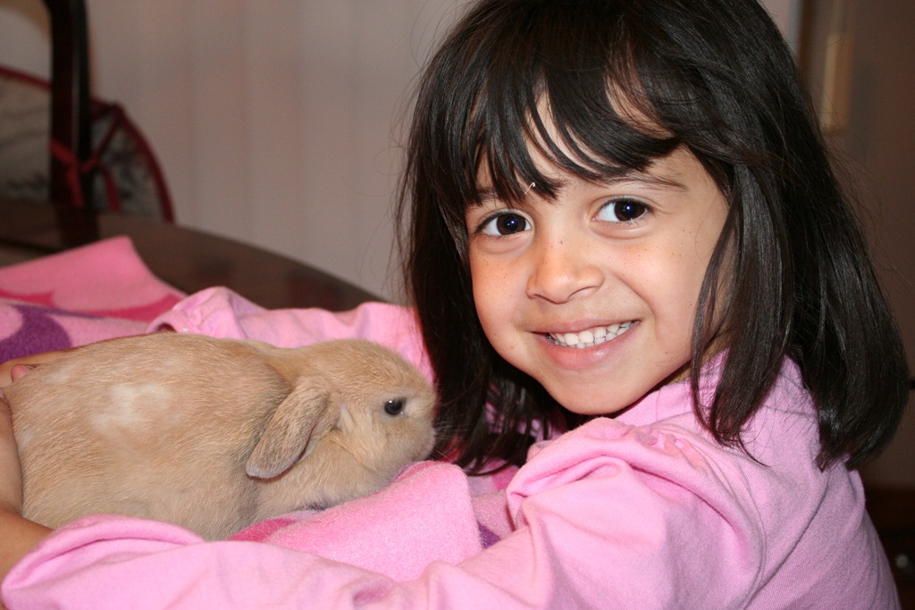 [IMG_5862%255B4%255D.jpg]