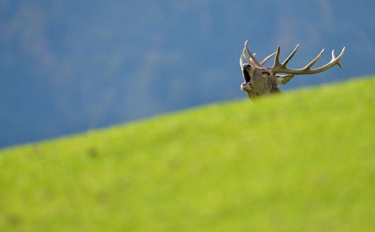 [clip_image007%255B3%255D.jpg]