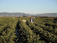 DSCF1196.JPG