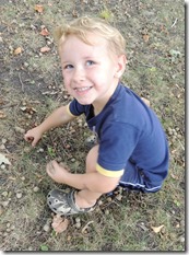 Jonathan - so many acorns Jonathan - so many acorns