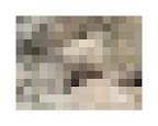 rock study 3, 2010, digital c-print (single edition), 16 x 20 in.