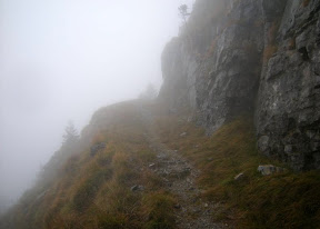 DSCN0181.jpg