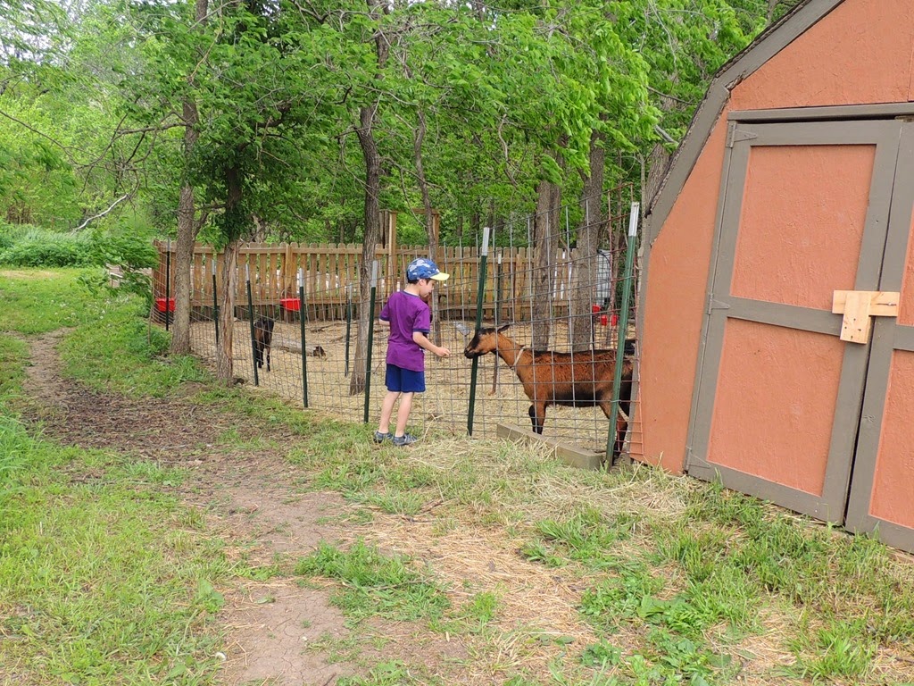 [DSCN8955%255B3%255D.jpg]