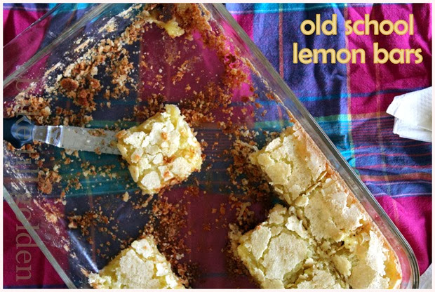 BTG Lemon  Bars