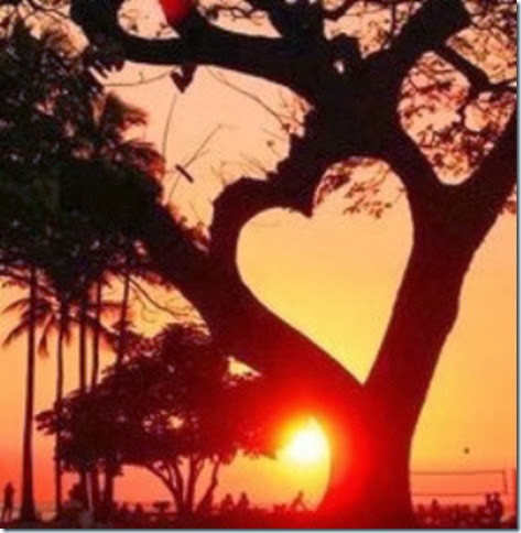 love-tree