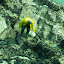 pêche oursin 052.jpg