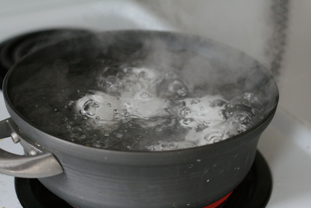 [green-eggs-0135.jpg]