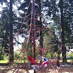 IMG_20130427_111344.jpg