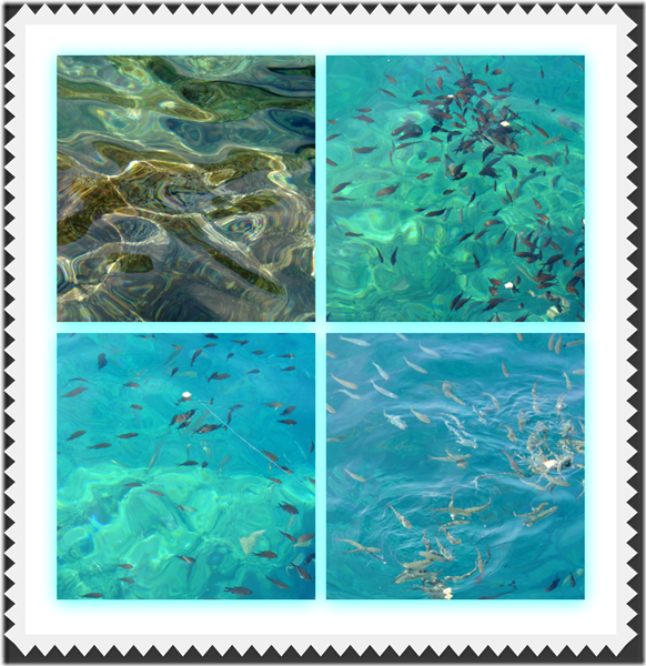 seacinqueterre seacinqueterre