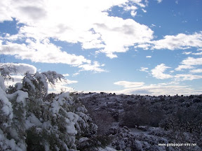 nevada.jpg