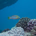 Pc307077