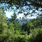 P1000789.JPG