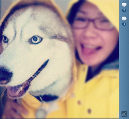 [hurricane-sandy-dogs-17%255B2%255D.jpg]