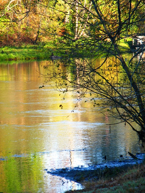 Little Red River at Heber Springs, Arkansas 11/1/11