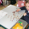 BILD0245.JPG