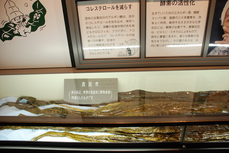 hokkaido_189.jpg