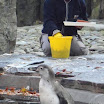 BP-20111111-zoo-357.jpg