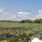 DSCN3028.JPG