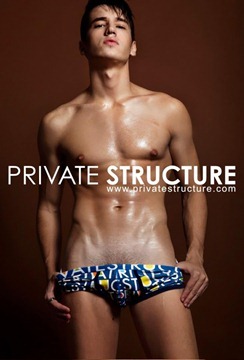 private-structure-2012-31