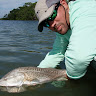 P9290080_1.jpg P9290080_1.jpg