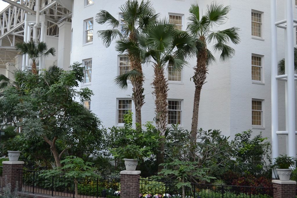 [DSC_0385%255B3%255D.jpg]