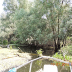 DSCN2958.JPG
