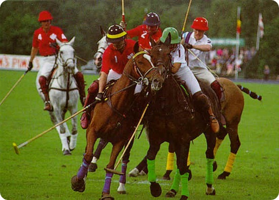 Polo1