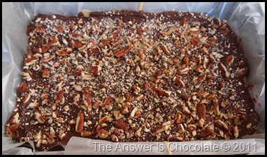 Salted Chocolate Pecan Toffee