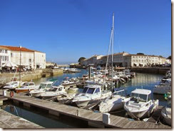 IMG_8560 IMG_8560