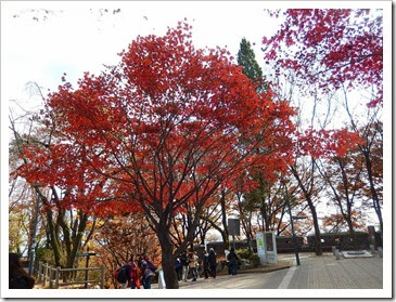 2013年首爾之旅_Day3_37