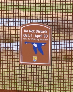 [DSC_0061-001%255B4%255D.jpg]