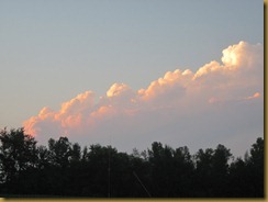IMG_2741 IMG_2741