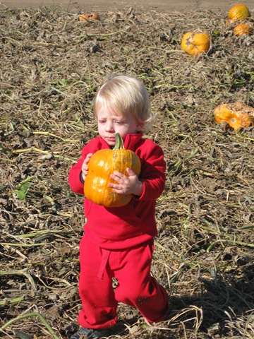 [IMG_7771%255B3%255D.jpg]