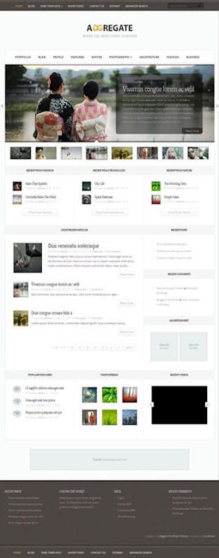 Aggregate WP premium theme 1