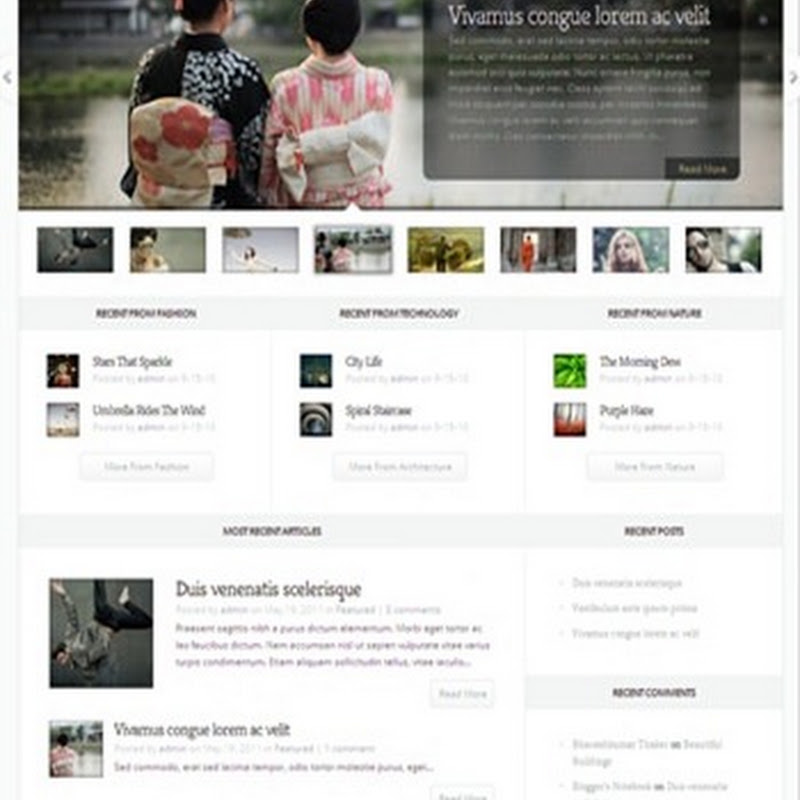 Awesome WordPress Themes