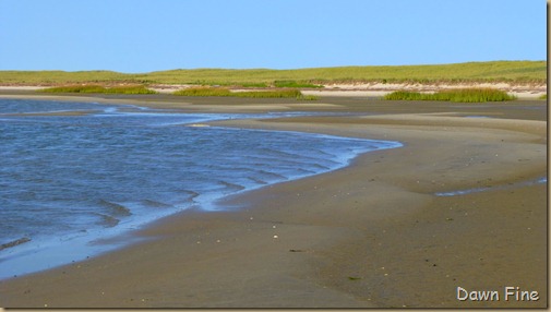 cape cod_027