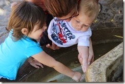 IMG_6602 IMG_6602