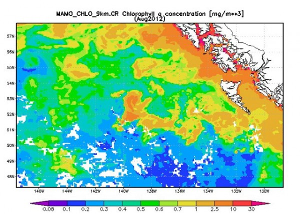 Satellite view of plankton bloom caused by dumping more than 100 tonnes of iron sulfate and iron oxide into the Pacific Ocean just outside of Canadian jurisdiction, as part of a controversial geoengineering scheme to boost salmon stocks, August 2012. Yellow and brown colours show relatively high concentrations of chlorophyll. Giovanni / Goddard Earth Sciences Data and Information Services Center / NASA