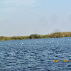 IMG_8001.JPG