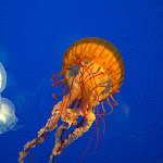 IMG_6365.jpg