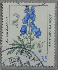 DSCN6529