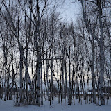 "Winter Sunset Michigan" - copyright David Thompson